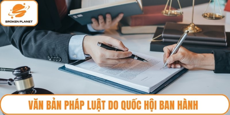 Văn bản pháp luật do Quốc hội ban hành